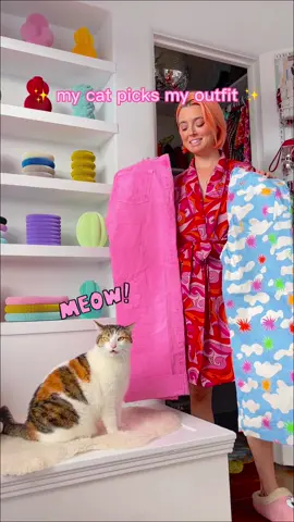 the sweetest outfit for a chilly day 💖❄️ sweaters: vintage pink pants: @zara   trays: @memakepretty   earrings: @okayokayco   lipgloss: @limecrime   scarves: @verloop   purses: @anthropologieofficial   shoes: @stevemadden   #grwm #cat #cats #catmemes #catfashion #style #fashion #outfitinspo #catmeow #colorful #maximalism