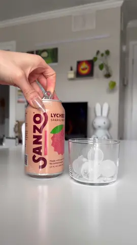 @drinksanzo #drinksanzo #sparklingwater #cannedbeverage 