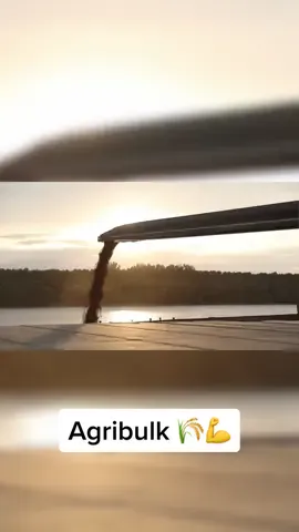 Mobile Shiploading Equipment 💪 #bulkhandling #grain #conveyor #conveyorbelt #shiplife #shiploader #shiploading #agri #agribulk #mobileconveyors #freight #bulk #conveyorsystems #engineering #machine #machinery #heavyduty #fyp #foryou #foryoupage 
