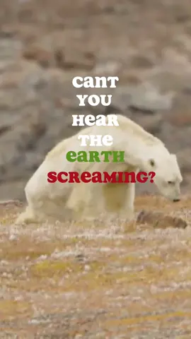 the willow project: Is a project were they are planning to oul drill in alaska, which will release over 287 million tons of carbon dioxide. this will affect all animals and life on earth :/. please act now we dont have much time before rhey approve it. if you can, sign the petition. #globalwarming #climatechange #stopthewillowproject #willow #willowproject #protest #pariisaa #savetheplanet #fyp #viral? #🌍 #pollution #stopthis #no #sayno #signthepetition #share 