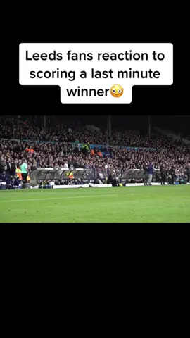 Leeds reaction to last minute winner#leedsunited #football #lastminutewinner 