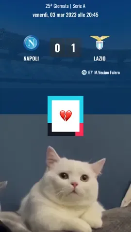 Non piangete ragazzi, ci rifaremo 💪💙 #ForzaNapoliSempre #NapoliLazio #catoftiktok #fyp #meme 