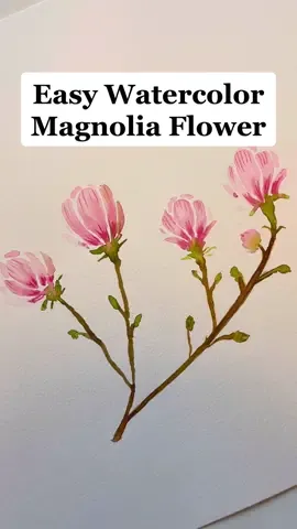 Replying to @mandixxoo123 ask and you shall receive! Here is an easy way to paint a magnolia flower using watercolor! Its a little advanced because there are a few more steps, but i promise they are fun and easy to create! Stitch me if you try it out!🌸#learntopaint #watercolortutorial #easywatercolor #art #watercolorflowers #arttok #botanicalart  How to paint flowers Painting inspiration Art painting Watercolor painting for beginners