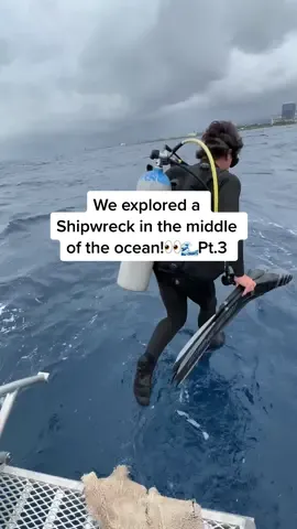 We explored a Shipwreck in the middle of the ocean….👀🌊#fyp 