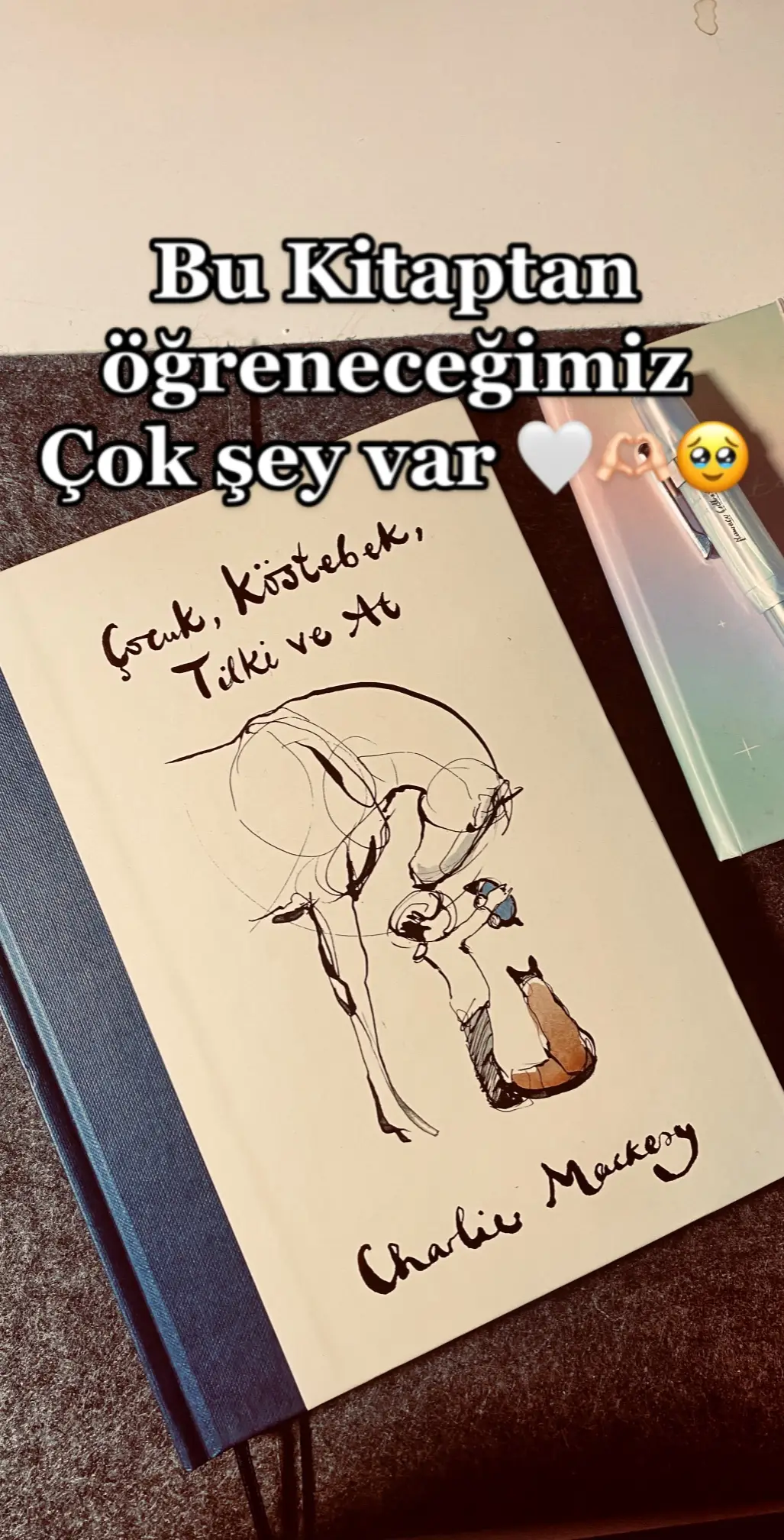 Çocuk, köstebek, tilki ve at 🤍 içinizi sıcacık yapacak alıntılar bırakıyorum, izlemediyseniz mutlaka animasyonunu izleyin (30dk bir sey) 💕 #thekidthemolethehorseandthefox #charliemackesy #book #BookTok 