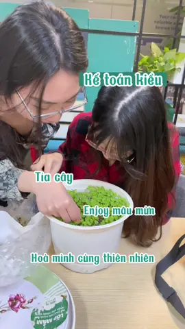 2 thái cực khác nhau tại văn phòng nhà Me🥹 #fypシ #xuhuong #trending #mixue #agency #vanphong #quoctephunu 