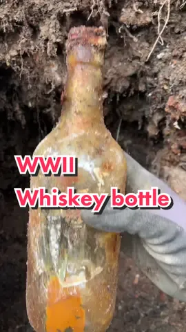 Whiskey bottle from 1945 #fyp #viral #history #explore #metaldetecting #WWII #foryou 