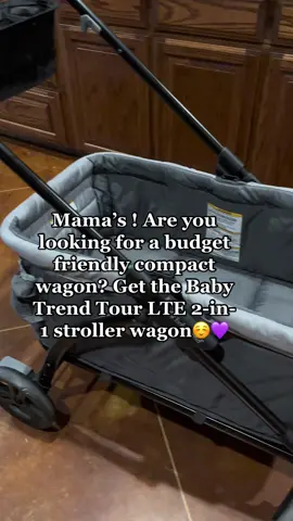 I love my wagon best purchase ever !🤍 Budget friendly too, i got it for  $135. You can get it at walmart, or at target right now for $175 on sale. I’d go to walmart 😉 (Not a sponsored video) Also it looks so dirty i need to clean it😂  #wagon #strollerwagon #compactwagon #easyfold #babytrendwagintour2in1 #budgetfriendly #toddlermom #toddlers #babies #MomsofTikTok #sahms 