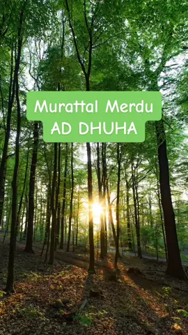Bismillah Surat Ad Dhuha 🎤Ridjaal Ahmed #murattal #quran #tilawah #murattalmerdu #tilawahmerdu 