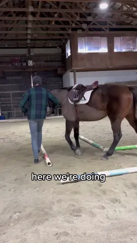Thanks to Langley Horse adventures for the lessons! Excited to one day be on Yellowstone (speaking it into existence 😉)  #horse #horseriding #horseridinglessons #farmtok 