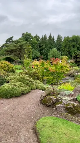 @Royal Botanic Garden Edinburgh #botanicalgarden #edinburghbotanicalgardens #naturetiktok #gardendesignideas #amazingdesign #inspirationalvideos #traveltiktok #olcaydesignstudio #interiordesigneruk 