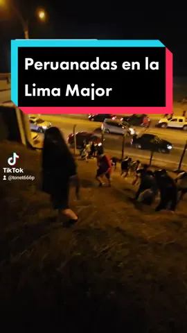 Peruanadas de la #LimaMajor, el puente estaba clausurado así que tuvimos que pasar la pista a lo inmortal, hasta los extranjeros se atrevieron a subir el barranco pues nadie quería ir a los puentes adyacentes (muy lejos), además la policia nos dejaba pasar (se escucha un auto frenando en seco), alguien que nos preste una Blink Dagger :v #dota2 #doteros