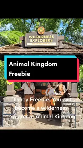 Disney Freebie. Become a Wilderness Explorer and Get a Free Book and Free Badges.  #disneytiktok #disneyparks #disneymom #disneywithtoddlers #disneywithkids #disneytips #disney #fyp #disneyworld #animalkingdom #trending 