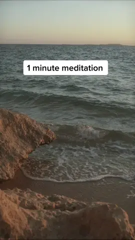 Allow yourself 1 minute to tune our the noise if the wolrd and tune into your inner peace 🧘🏽‍♀️#meditation #quickmeditation #breathe #relax #relaxing #meditationforbeginners #meditationpractice 