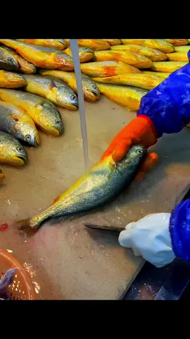 #fishing #foryou #satisfying #viral #fyp 