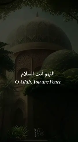 Allahumma Anta Ssalaam 🤍🤍🤍 #Love #peace #ayishaabdulbasith #spiritual #muslimah #indian #hijabi #spiritique 