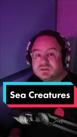 Drifting off to sleep with tales of mythical sea creatures  🐉 | #seaserpent #chinesebedtimestories #chinesenewyear #bedtimestoriesforadults #stories #fyp #bedtimestoryforadults #bedtimestoryforadults