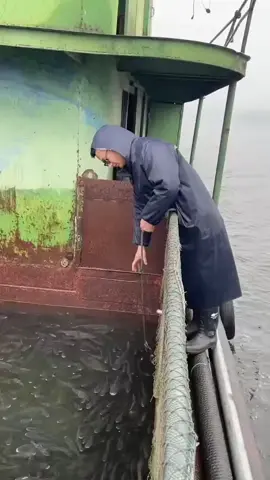 Saving the fish