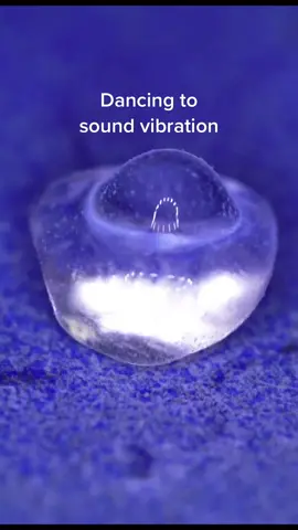 Dancing water droplets. (Vibrated by pure sine-wave frequencies, music added) #cymatics #physicstok #sound #vibration #sciencetok #soundartist #soundhealing #water 