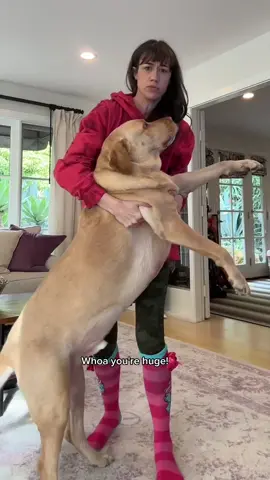 When did Moose get so big???
