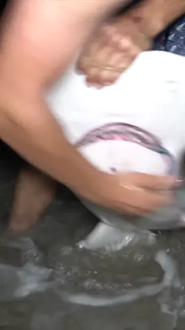 Getting Hook Out of 6 ft. Hammerhead Shark’s Mouth! #fyp #fypシ #fishing #sharks #ocean #beach 