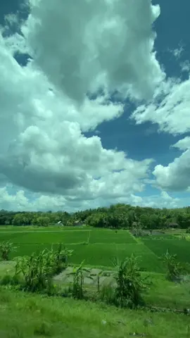 Langit Jogja ala Kereta Aquarium Panoramic! Momen ketika Kereta Api Argo Wilis melintas di Tikungan Besar Kalimenur, Kabupaten Kulon Progo kala siang hari! #naikkeretaapi #keretaapi #argowilispanoramic #fyp #railfansoftiktok 