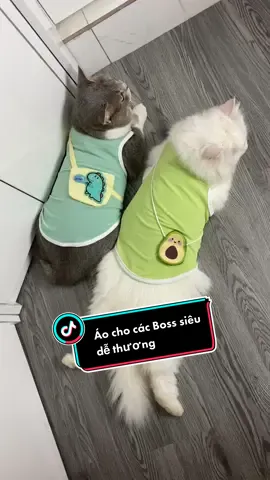Áo sát nách cho các Boss siêu dễ thương #xuhuongtiktok #chomeo #boss #aochocho #petshop