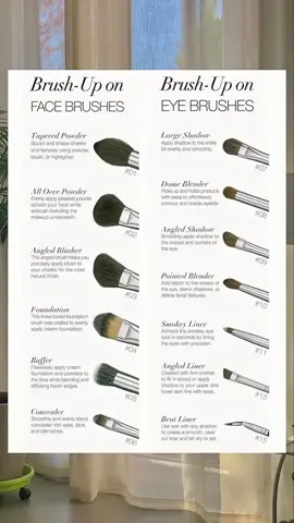 How to use make up brushes #fyp #makeup #brush 