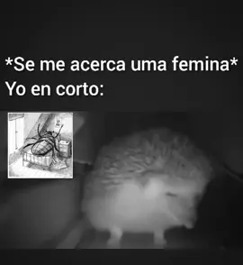 Imaginar que esta obra pudo no ver la luz. ¿Y tú ya leíste esta intrigante obra?#literaturememes #literaturagotica #fyp #novelasfavoritas #audiolibros #literaturetiktok #literature #obrasliterarias  #metamorphosis #metamorfosis #franzkafka #BookTok #lametamorfosis #gregoriosamsa #memesliterarios #mariovargasllosa 