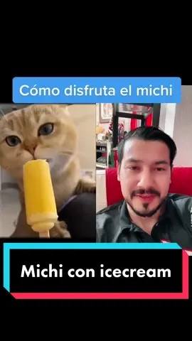 #duet with @haley3453 #Duet HUMOR Y COMEDIA CON OCTAVIO RED #foryou #viral #fyp #octaviored #funny #humor #tiktok #lol #laugh #parati #comedy #tiktok #funnyvideos #reaccion #reaction #duo #comedia #trending #videosdivertidos #cats #catsoftiktok #gatos #gatostiktok #kitty #kittycat #catvideos #octavioredmusic #elmejor #ecuatoriano #pets #kittylove 