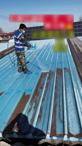 Cleaning the roof