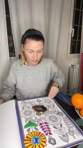 #stitch con @Gabriele.L.castellari non avevo il supporto fisico adatto 😅 #cockroach #blatta #scarafaggio #help 