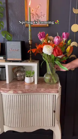 Its the tulips in this spring bouqet for me tho. I cant choose a spot. 🥲 #freshflowers #tulipseason #bouquetinspo #mybohojunglebook #bohohomedecor 