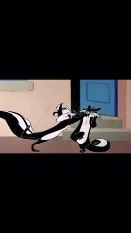 Where is the consent lol #looneytunes #pepelepew #cartoon #cats #catsoftiktok #cattok #kisses #lovems #catmom #catlover #precious #adorable #Love #kitty #kittles #consent #animals #fyp 