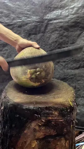Peeling a coconut