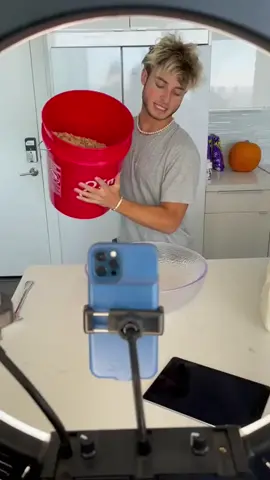 NO!! Please Stop Wasting Food!!��_ Oscar‘s Funny World _ Cute And Funny Cat TikTok
