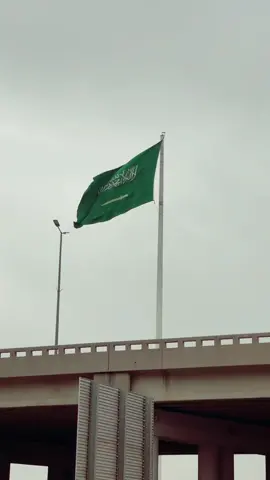 Saudi Arabia beautiful flag View  🇸🇦🥀#saudiarabia #qassim #saudiflag #madina @g_.t01 @reem8040 @2jsv @loo79978