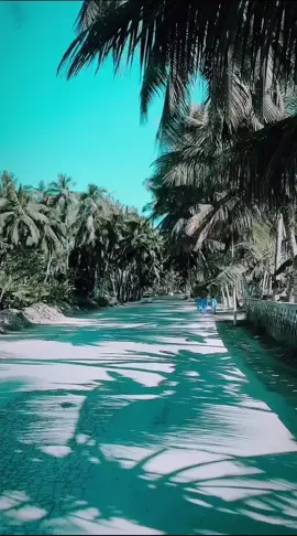 #സത്യം കൊണ്ട് മനസ്സും .... സ്നേഹം കൊണ്ട് ഹൃദയവും ...... സേവനം കൊണ്ട് ജീവിതവും സമ്പൂർണ്ണമാകുമ്പോഴാണ്  ജീവിതം ധന്യമാകുന്നത് !!!! ഒത്തിരി ഇഷ്ടത്തോടെ സ്നേഹത്തോടെ ശുഭദിനം🌹🌹🌹#صباح_الخير #പ്രകൃതിഭംഗി #goodmorning #statusvideos #status #പ്രകൃതി #malayalamsongs 