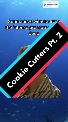 Replying to @eddieharrison2004 Part 2 of Cookie Cutter Sharks #TeaoftheSea #paleopedia #sealife #wildlife #nature #ocean #oceantok #thalassophobia #blueplanet #marinebiology #cookie #shark #sharktok #cookiecutter #cookiecuttershark 
