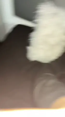 #Inverted 