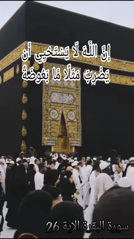 #احمدالعجمي #قرآن #قران_كريم #قران #كلام_من_ذهب #quran 