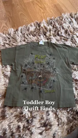 Found so many cute things over the past couple of weeks. #thriftwithme #toddlerboyfashion #toddlerboyclothes #thriftfinds #graphictees #graphictshirt 