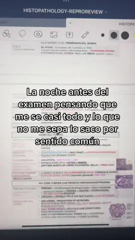 Jijiji 😬 #university #uni #universidad #medicalschool #medicalstudent #medicalhumor #xyzbca #school #foryou #test #medtok #medicine #exam #examen #humor #humortiktok #estudiantedemedicina #mecreotiktoker #paratii #paratupagina #puertoricotiktok #latina #boricua #puertorico🇵🇷 #internationalstudent #estudianteinternacional #mexico #foryoupage #fyp #parati #medstudent #estudiando #estudiandomedicina #medicinatiktok #estudiantemedicina #noche 
