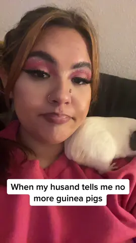 #guineapigs #guineapigsoftiktok #guineapigtiktok #marraigevibes#idowhatiwant#viral#fyp #guineantiktok🇬🇳224  