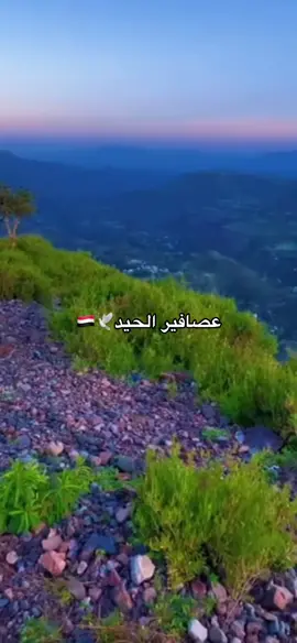 يلالاوهه🕊️🇾🇪.                     #تصميمي #يمنيات #fypシ #اليمن🇾🇪 #تصاميم_يمني_طرب 