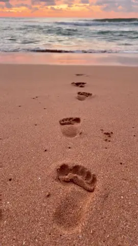 Being alone on the beach and watching the sunrise is my favorite thing to do 🌅🌊🫶🏼 #ocean #oceantherapy #sunset #sunsetlover #sunsetbeach #sunsetvibes #oceansunset #dreamyaesthetic #oceanictherapy #waves #aesthetic #sunriseview #dreamy 