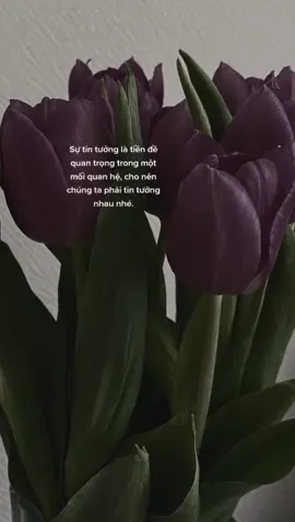 #annjii19 #fyp #viral #trending #xuhuong 