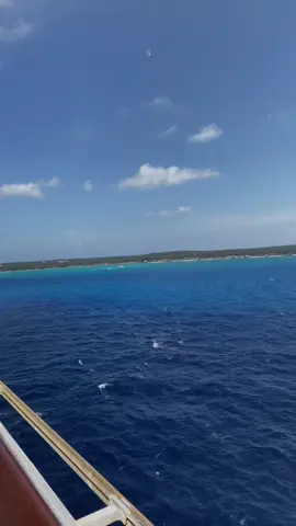 Carnival Sunrise cruise #princesscay  #carnival  #travel  #traveltiktok  #travellife  #travelbucketlist  #nassau  #ocean  #fyp  #fypシ  #fypシ゚viral 