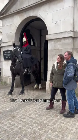 #horseguardsparade #changingoftheguards #royalguards #thekingsguards #kingsguard #kingshorse #fyp #foryou #fypシ #fanpage 