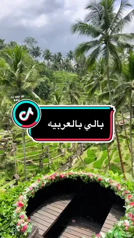 منتجع ترفيهي في وسط الغابات في جزيره بالي اندنوسيا Cretya Ubud alas harum, Tegallalang, Gianyar Regency, #bali #tiktok #tik #tiktokindia #حسحس_وننه #وناسه_تايم #عرب #عراق #دبي  #اندنوسيا_جاكرتا🇲🇨♥️ #instagram 